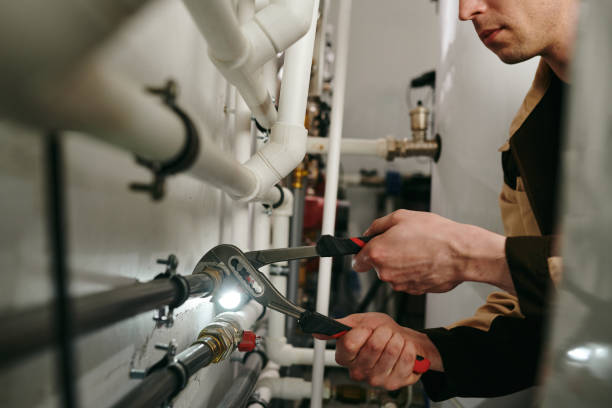Best Clogged Drain Plumber  in Vley, AL